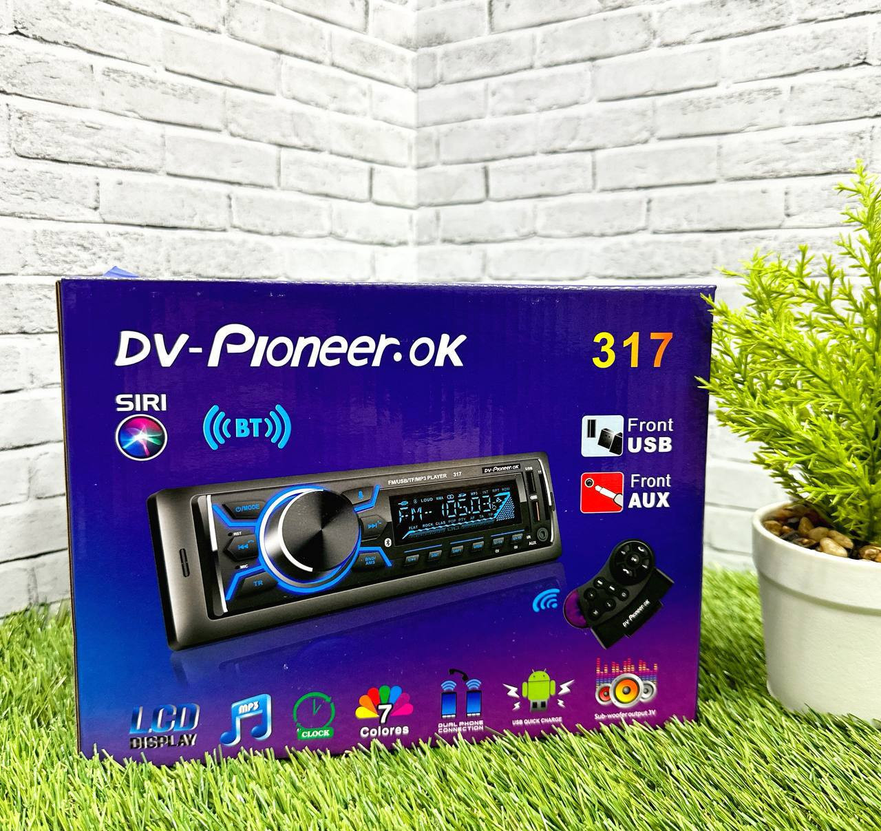 1Din Dv-Pioneer.ok 317