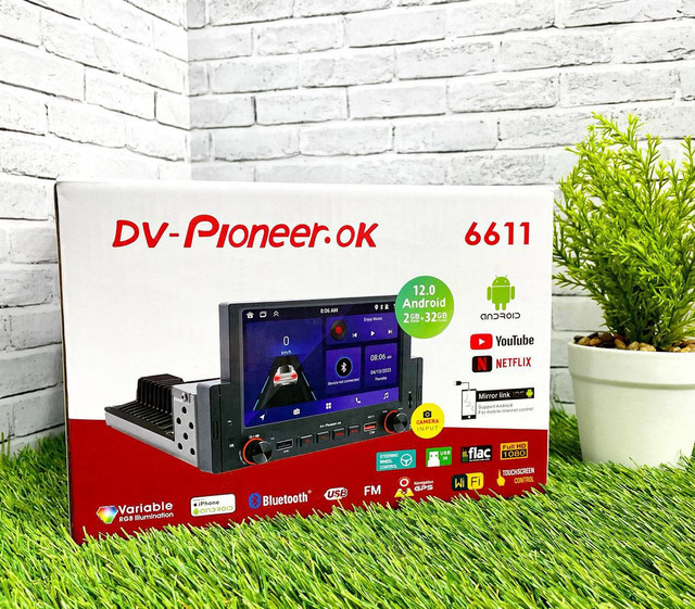 DV-Pioneer.Ok (6611) С куртилками