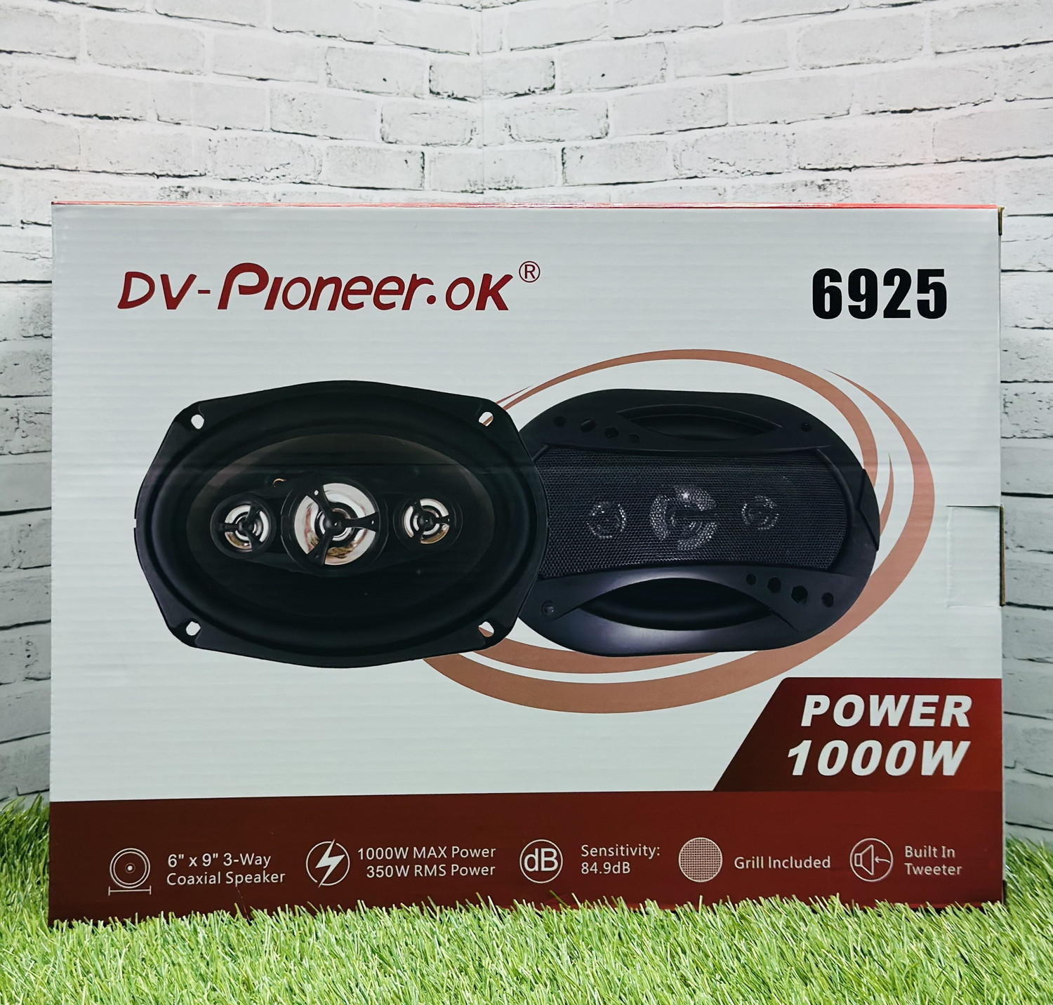 Dv-Pioneer.Ok (6925)