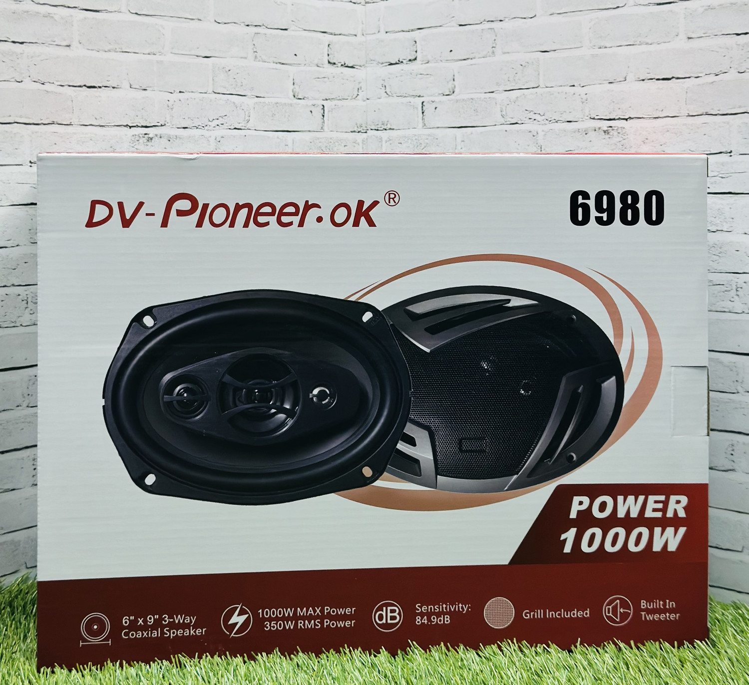 Dv-Pioneer.Ok (6980)