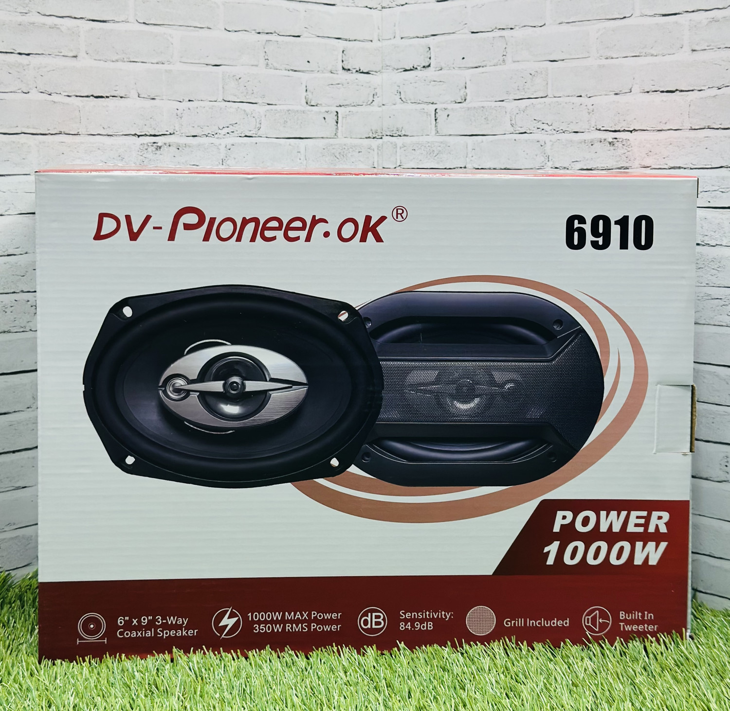 Dv-Pioneer.Ok (6910)