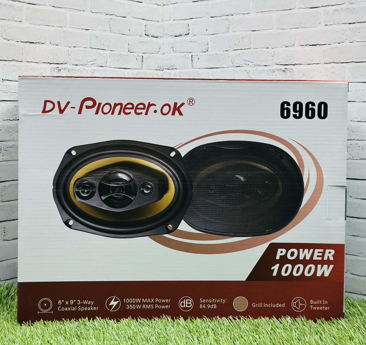 Dv-Pioneer.Ok (6960)