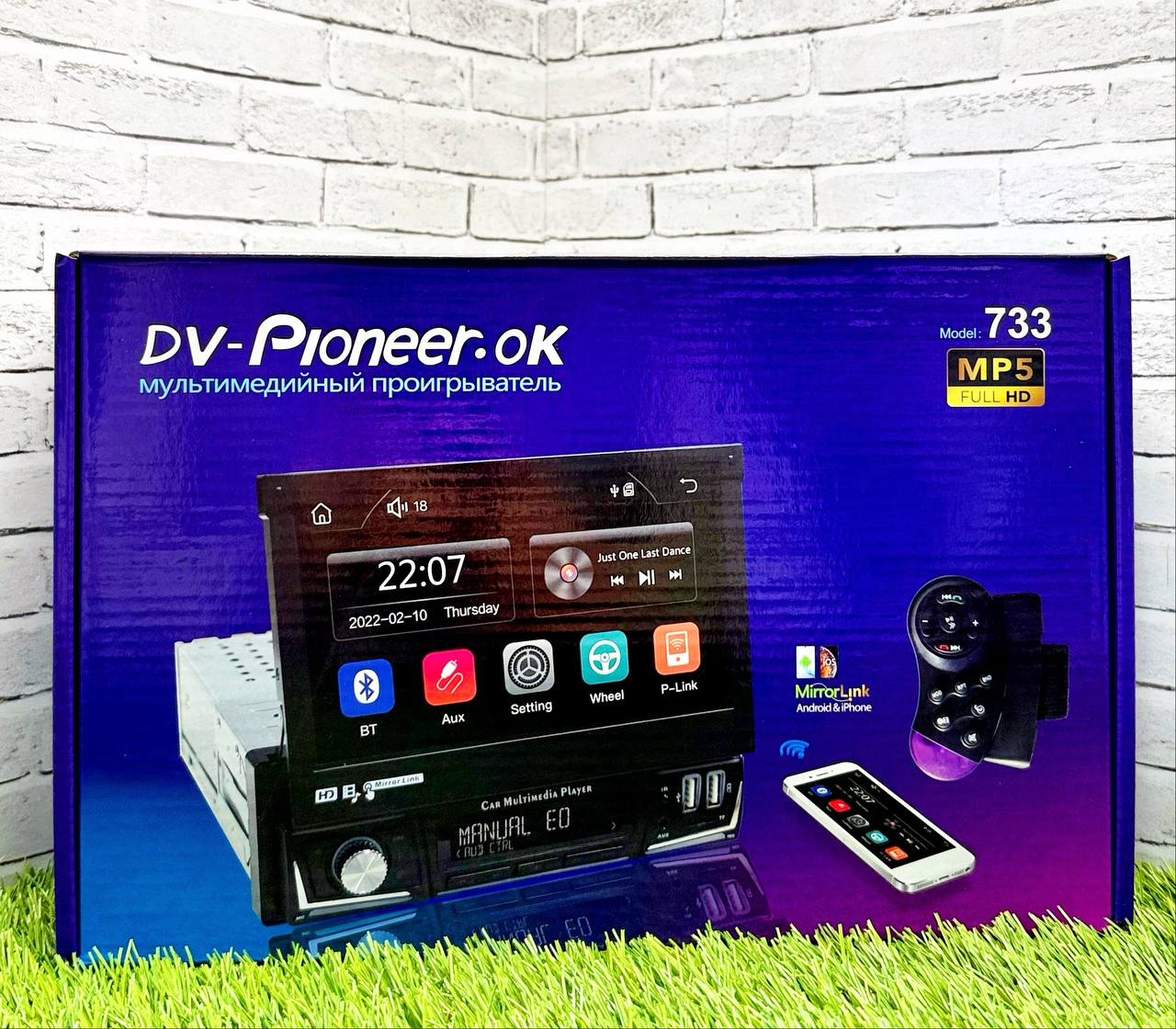 DV-Pioneer.Ok (733)