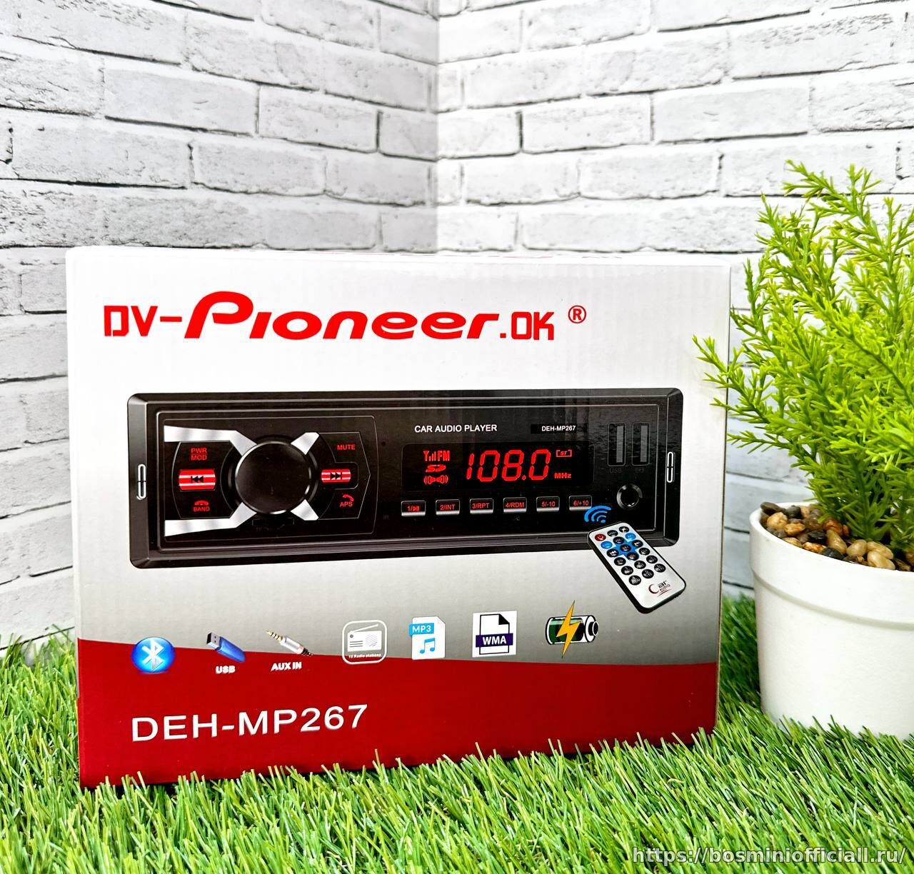 1Din Dv-Pioneer.ok 267