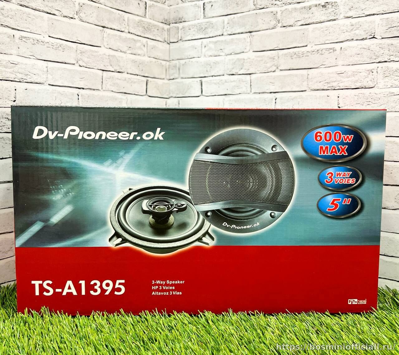 DV-Pioneer.Ok 1395