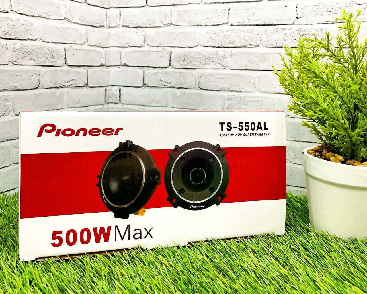 Рупор Pioneer TS-550AL