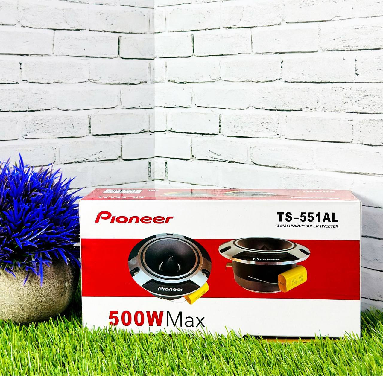 Рупор Pioneer TS-551AL