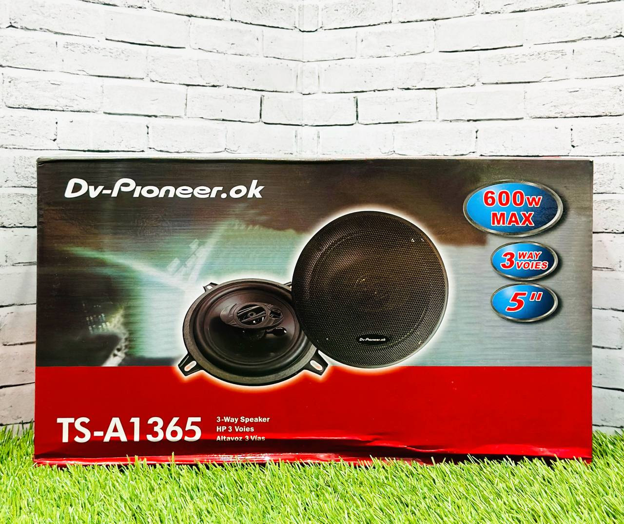 DV-Pioneer.Ok 1365