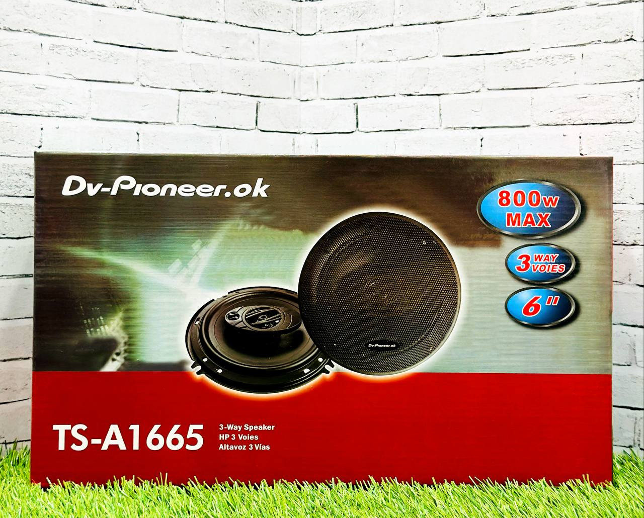 DV-Pioneer.Ok 1665