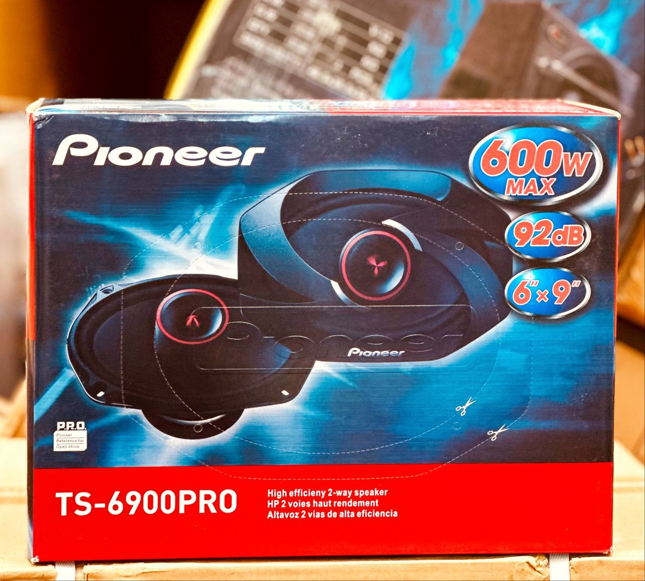 Pioneer TS-6900 6/9 (овалы)